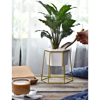 

Set of Ceram Succulent Planter Pot Flowerpot Planter and Hexagon Iron Metal Stand (White + Golden )