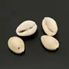 50pcs White DIY Sea Shell Cowrie Cowry Charm Beads Beach Jewelry Accessories for Women Sea Shells Earrings Bracelet Necklace diy ► Photo 1/6