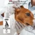 Pet Ear Cleaner Удаление Клеща Удаление Клеща Жидкость для Кошки Собаки 2021 НОВЫЙ