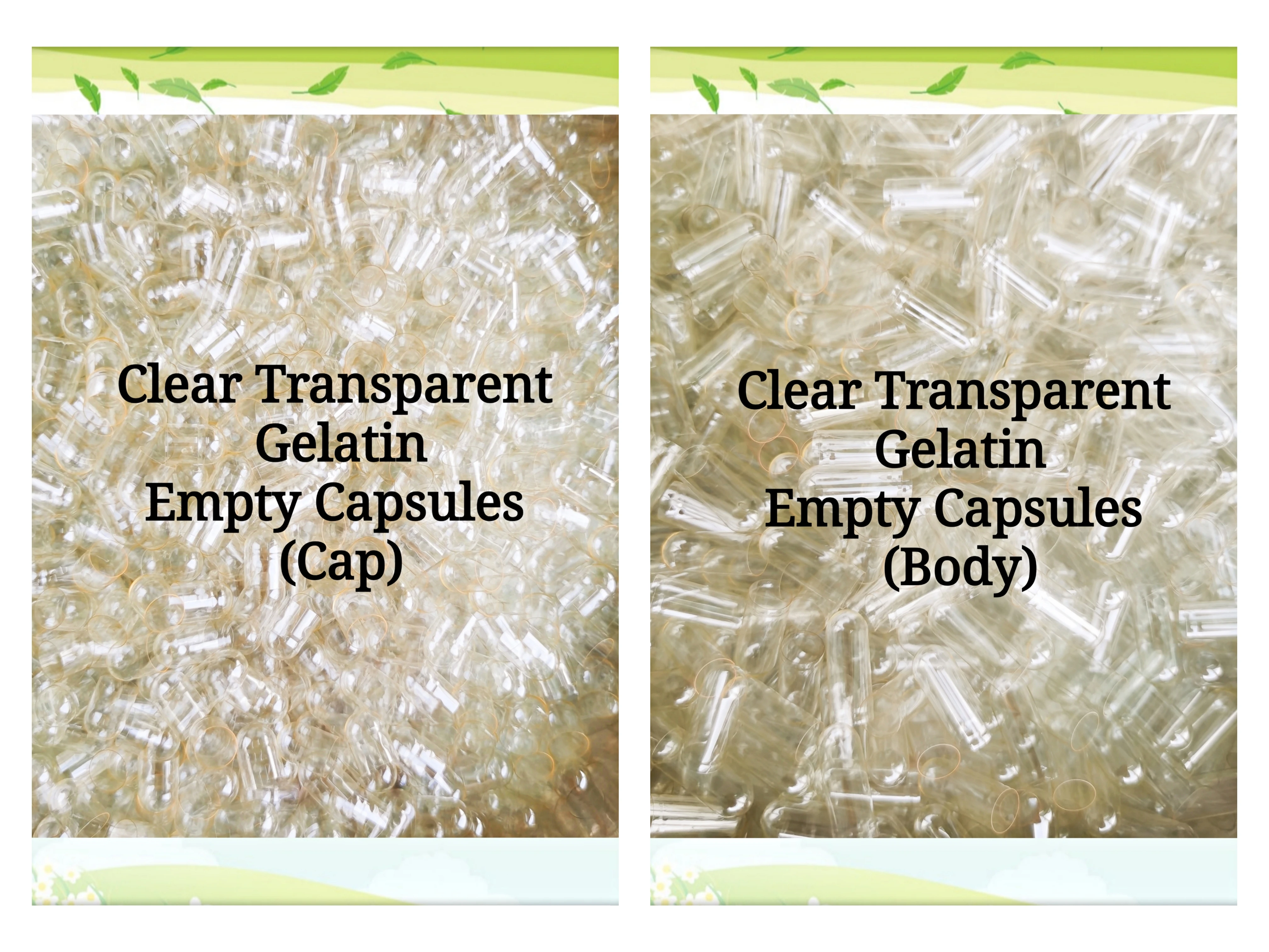 Empty Capsules 1,000PCS 000# 00# 0# 1# 2# 3# 4# 5# Medicine Empty Capsule Clear Transparent Hard Gelatin Capsule Shell Pill Packaging Pill Case
