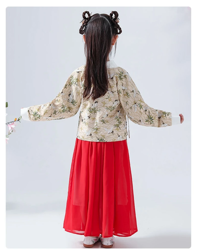 Hanfu/платье для девочек с рисунком журавля г. Осенне-зимняя новая улучшенная юбка для кроссдресса костюм для девочек феи, милый костюм в китайском стиле