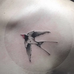 Swallow Fake tattoo Water Transfer Waterproof Temporary Sticker Women Men sexy Beauty Body Art Cool Stuff Arm Art