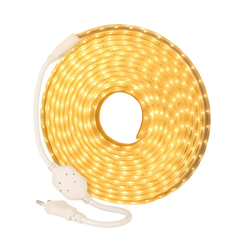 cheap IP68 Waterproof LED strip light AC220V SMD2835 120Leds M White Warm White (No Glue) Outdoor application Holiday Party