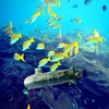 35cm big size Remote Control Racing Fun Fishing Boat RC Submarine Model Nuclear-Powered submarine toy update version toy gifts 4