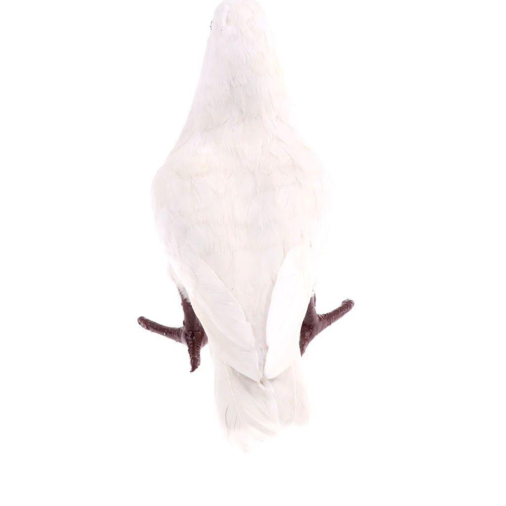 Realistic Polyethylene Furs Standing Pigeon Animal Model Figurine Home Decoration