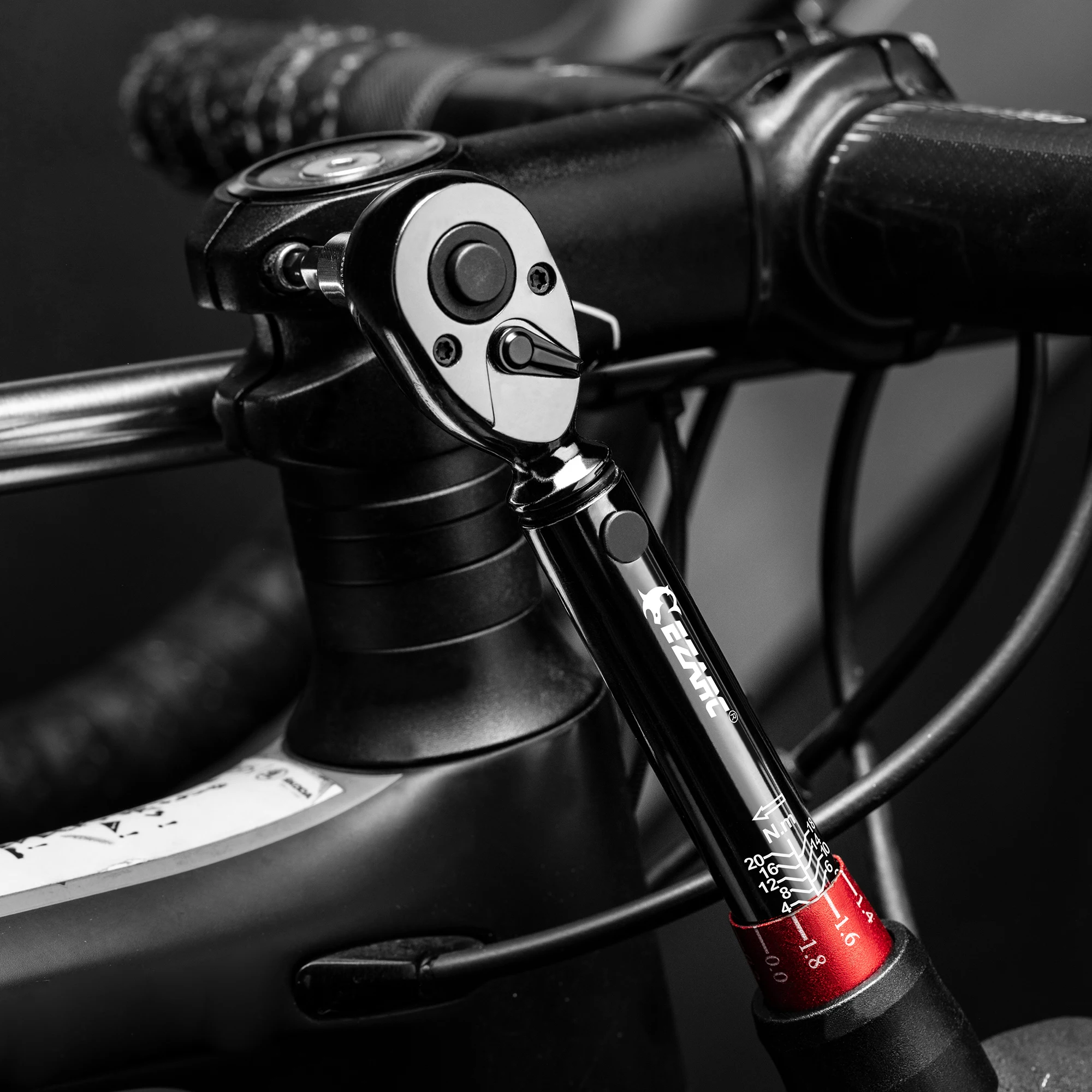 EZARC 16pcs 1/4 ''Set di chiavi dinamometriche con doppia scala