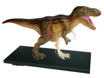 

Tyrannosaurus 4d master puzzle Assembling toy Animal Biology Dinosaur organ anatomical model medical teaching model