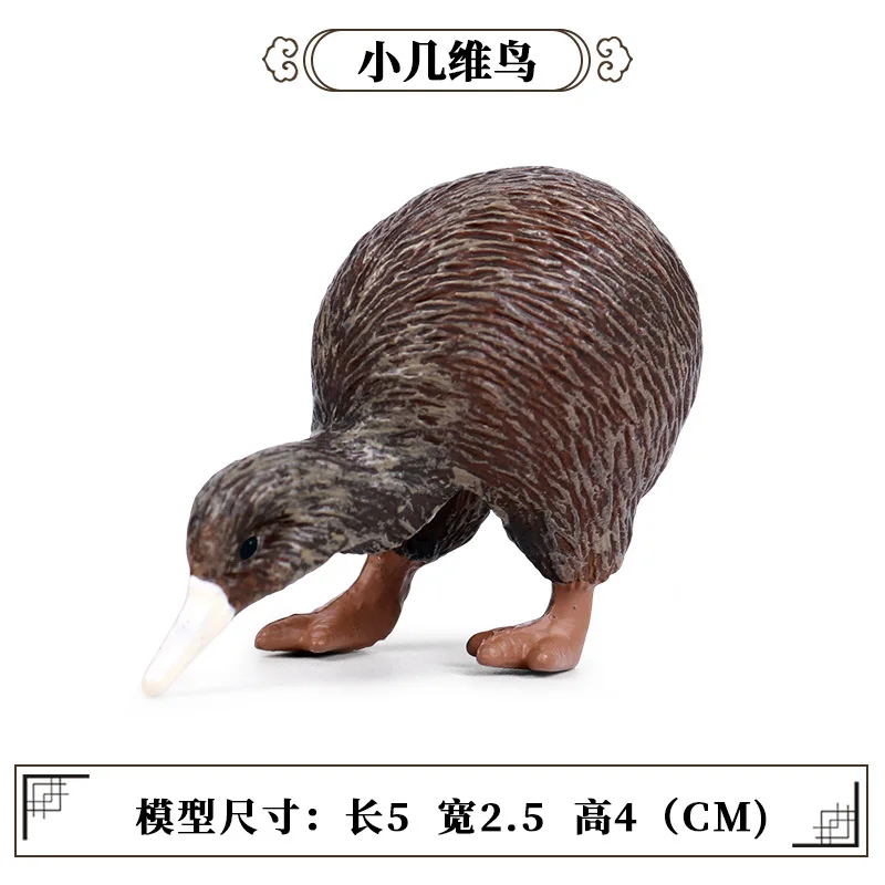 Children Model Solid Static Wild Animal World Birds Model Plastic Toys Birds Kiwi Decoration