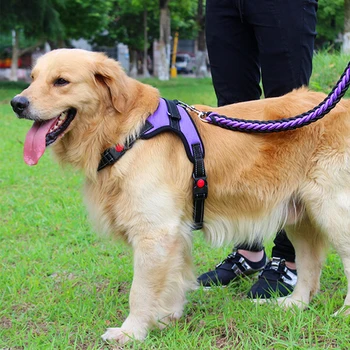

Dog harness dogs for puppy collar four seasons nylon