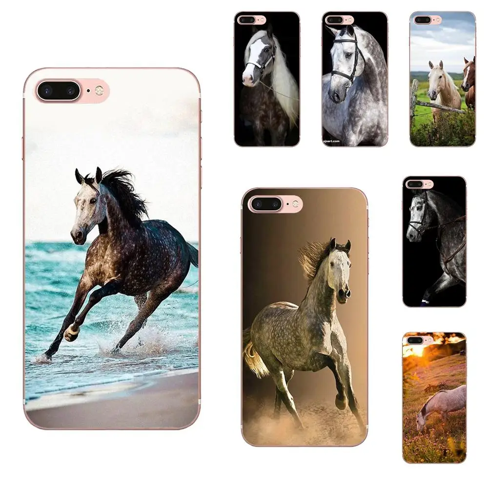 

Back Skin Colorful For Galaxy Alpha Note 10 Pro A10 A20 A20E A30 A40 A50 A60 A70 A80 A90 M10 M20 M30 M40 Amazing Dappled Horse