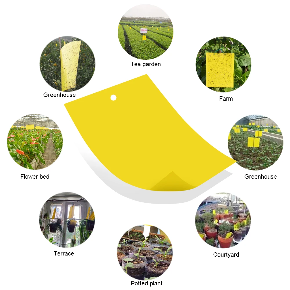 Insect catching sticker 30/50 pcs yellow double-sided flying insects glue sticky board trap for greenhouse home garden