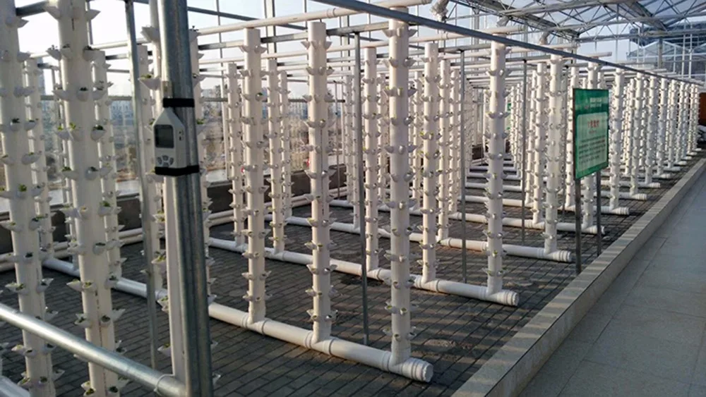 TB2TFhboC_I8KJjy0FoXXaFnVXa_!!2484725074