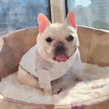 

Dog Clothes for Small Dogs Sweater for French Bulldog