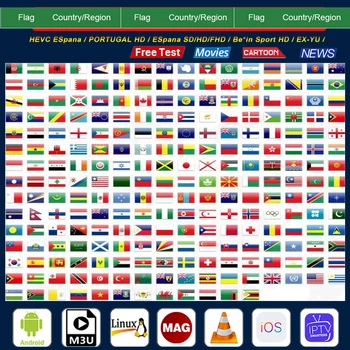 

Hot Sale Stable 9000+ World IPTV Netherland Turkey Spain Arabic Work On m3u Code IPTV Smart TV Box Android 10 H96 Max X96