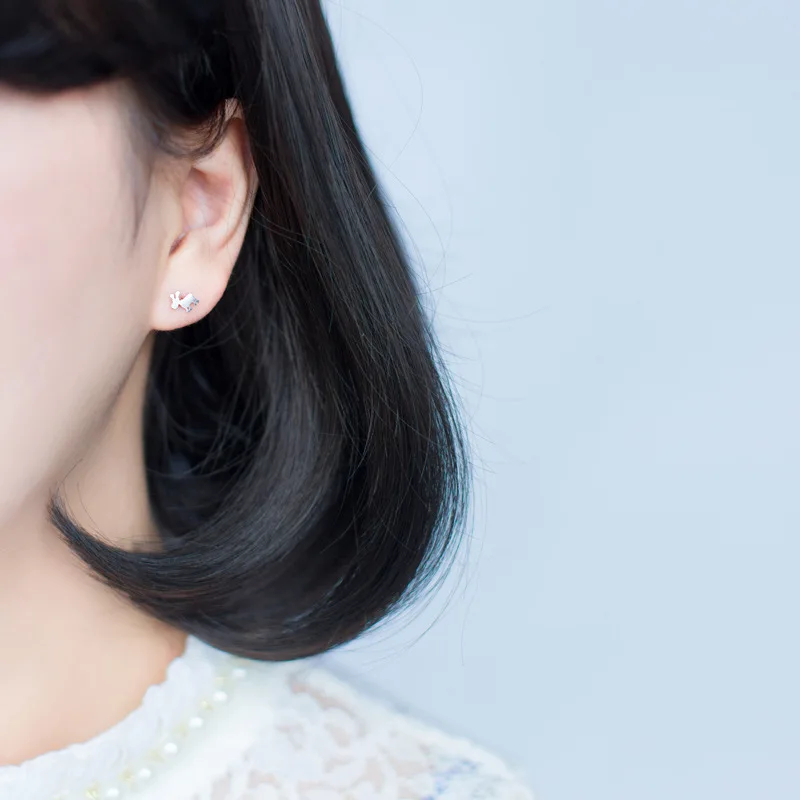 4431919085_334617663