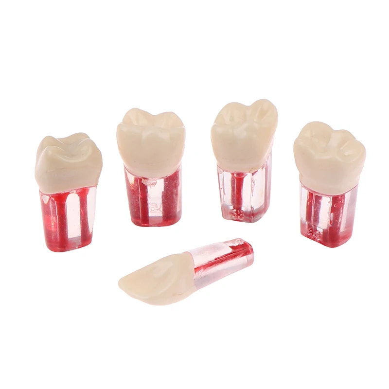 

2Pieces/Lot Red Pulp Dentist Studing Dental Endo Blocks Root Canal FIles Practice Curved