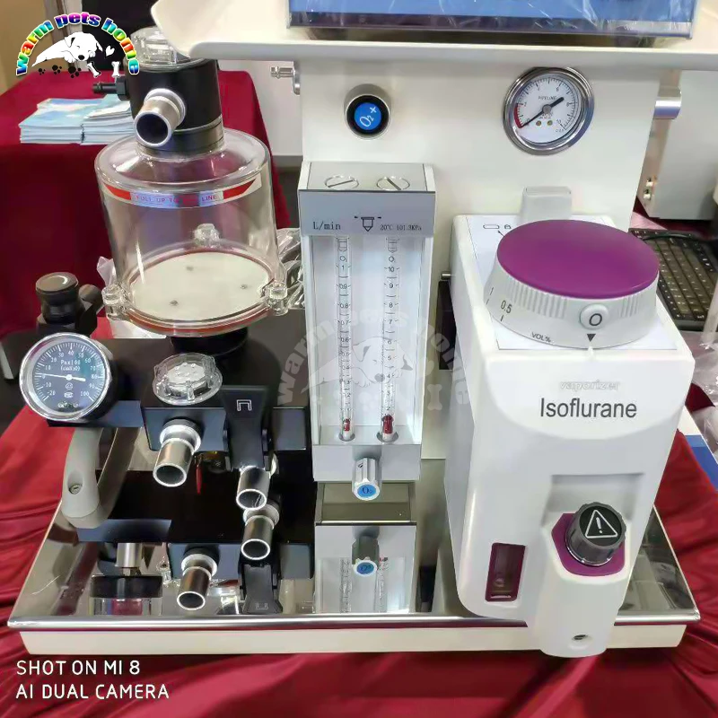 Animal Anesthesia Machine Vet Portable Pet Dog Cat Medical Anesthesia Apparatus Hospital Veterinary Anesthesia Equipment 4