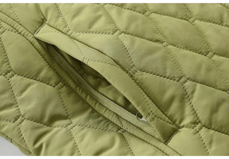 DSA_5553