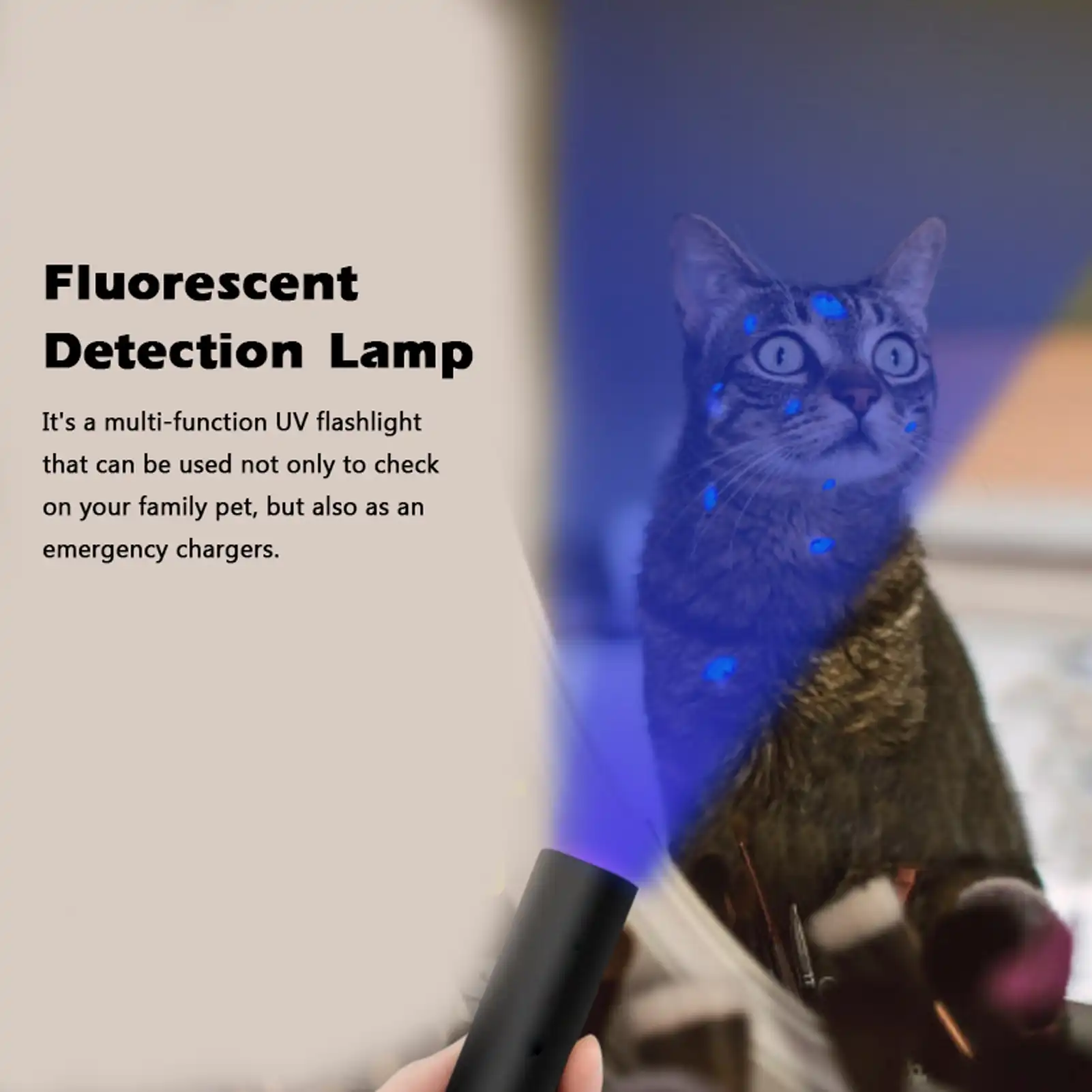 Uv Ringworm Lamp 365nm Fungus Test Light Usb Chargings Ultraviolet Flashlight Fluorescent Detection Cat Grooming Aliexpress 