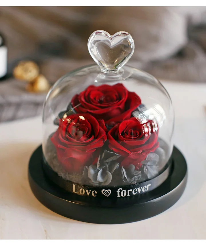 Love Everlasting flower vase Glass cover 14