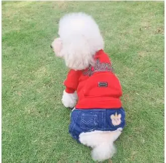 

Autumn and Winter New Pet Denim Stitching Embroidered Thickened Four-leg Cotton Coat Suitable for Small Pets to Keep Warm