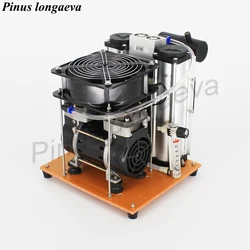 Pinus longaeva Y2 PSA 3L/min 93%-96% High concentration Industrial pure Oxygen machine for ozone generator machine