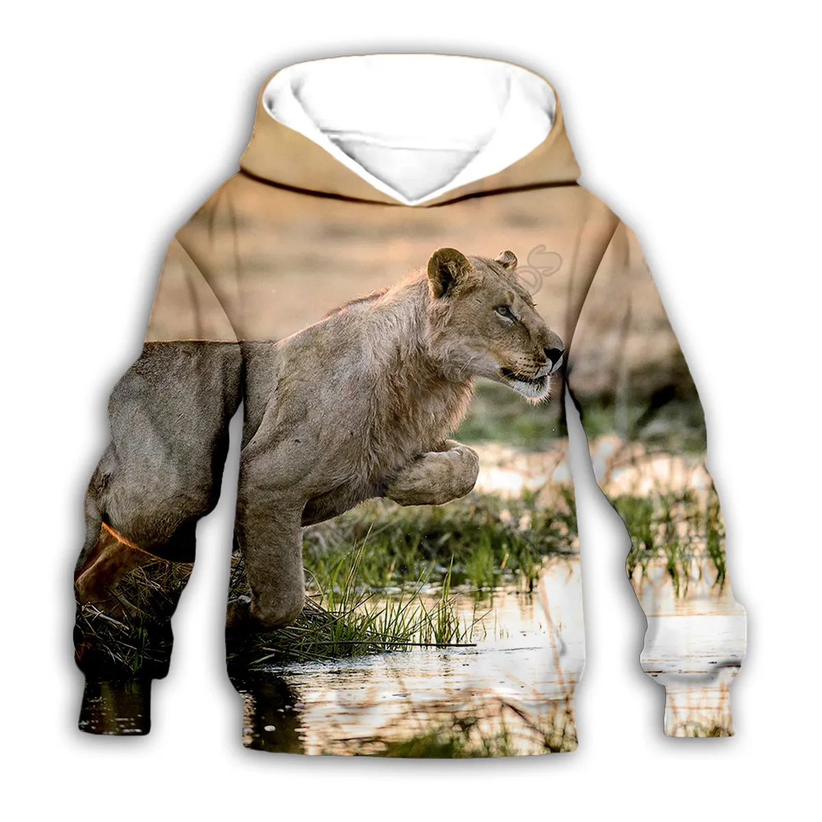 

Kid Lion 3D Golden Retriever print hoodies child baby boy girl clothing autumn Sweatshirt zipper jacket tshirt Pant Shorts 01