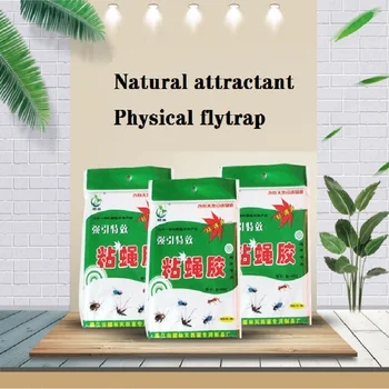 

10pcs Contains Natural Bait for Home Factory Restaurant Use Powerful Fly Trap Bedbug Sticky Board to Capture Aphid Insect Pests