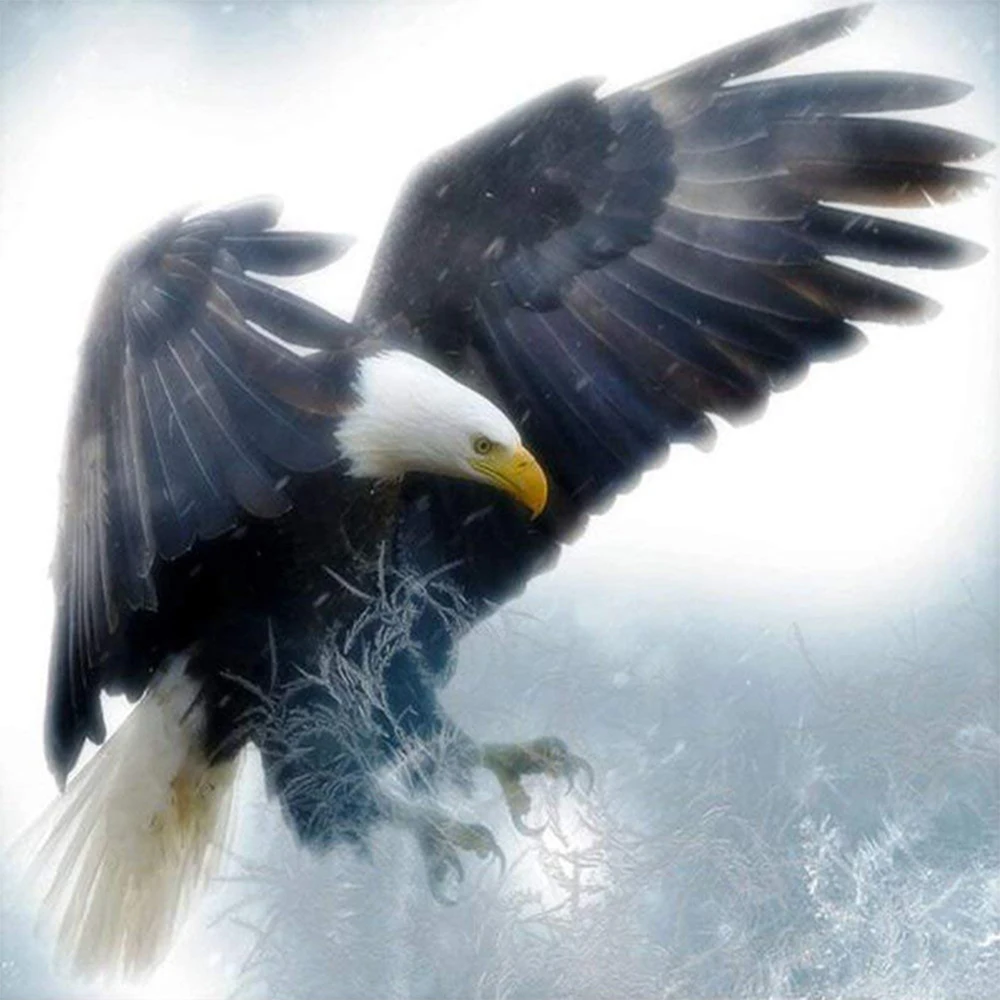

Fundaful Eagle Diamond Painting Full Drill 5D Diy Diamond Embroidery Picture Mosaic Rhinestone Handmade Gift Home Decor