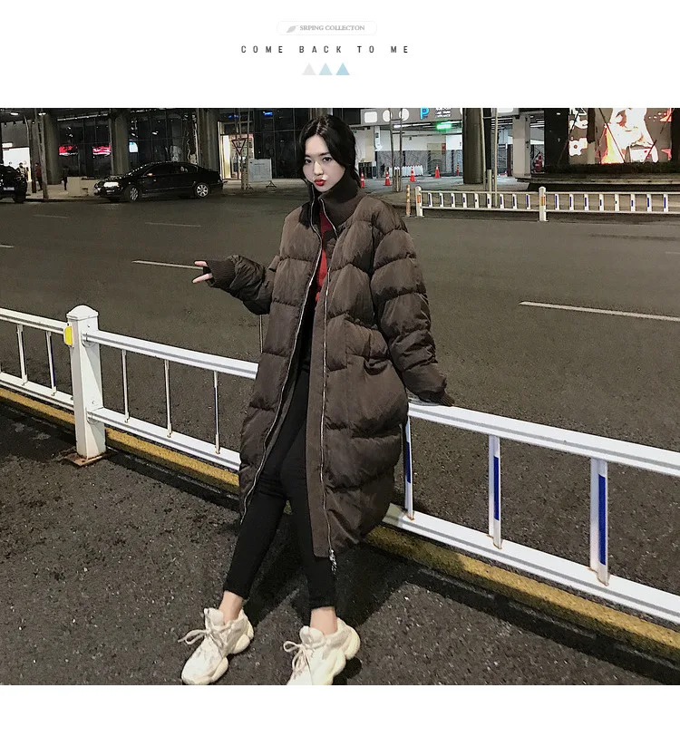 Photo Shoot Main Push Winter New Style Korean-style Loose-Fit Stand Collar Long Zipper Dark Coffee Cotton Overcoat Women's