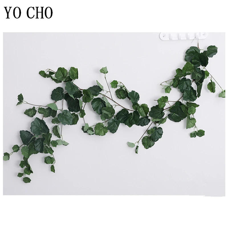 细节-29  海棠叶藤绿