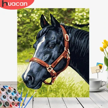 

HUACAN Picture By Numbers Animals Kit Acrylic Paint On Canvas Wall Art HandPainted Horse Home Decor DIY Gift