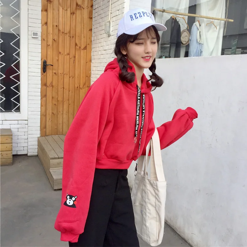 Harajuku/Модные женские толстовки на осень и зиму, рисунок с милым медведем, толстовки для девочек, свободный бархатный свитер, пуловер с длинными рукавами, Топ