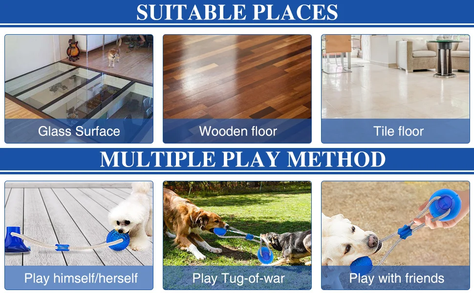 105319cb-753f-4158-9054-378c996ece8e.__CR0,0,970,600_PT0_SX970_V1___