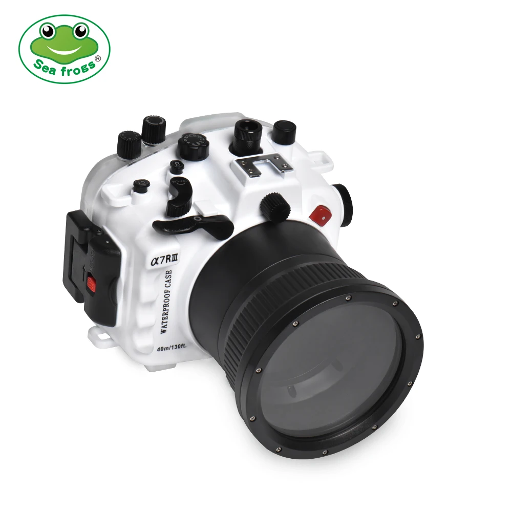 01.jpg seafrogs logo