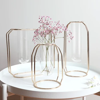 Hydroponic Plant Golden Glass Vase