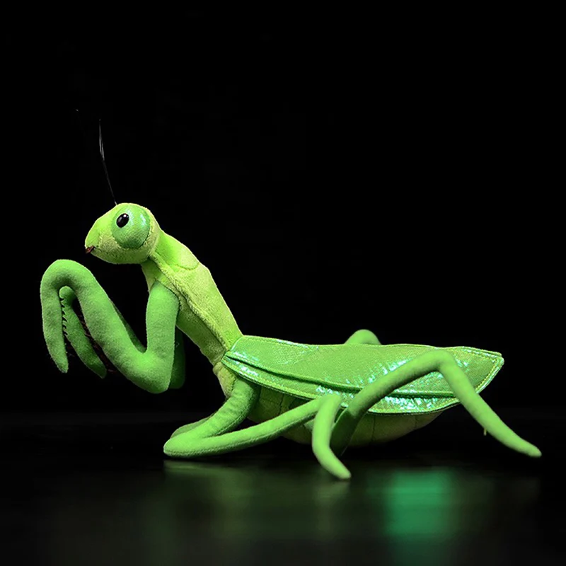 O1CN018XGfCf1DnZyELkVJK_!!22080261