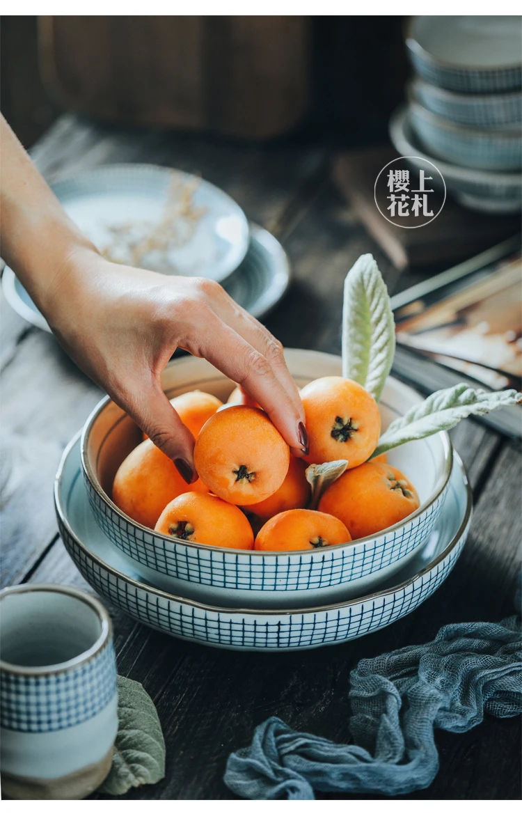 

1 PC Retro Ceramic Rice Bowl Soup Noodle Bowl Hand-painted Plaid Under-glaze Japanese Style