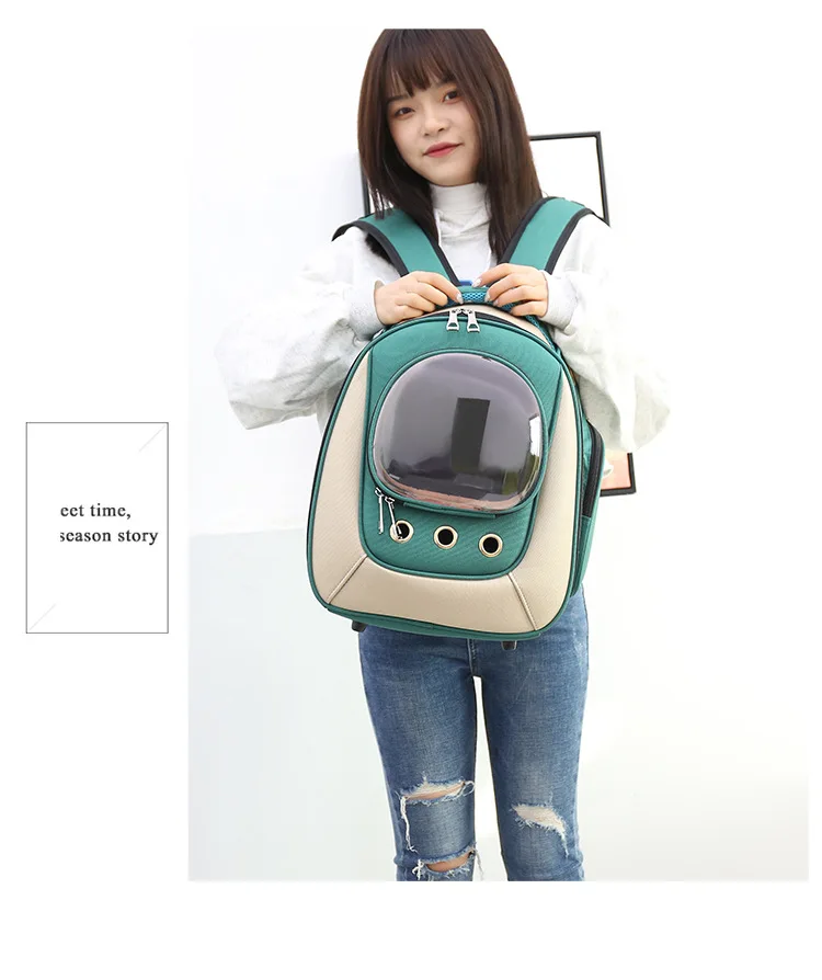 12653200696_686886075