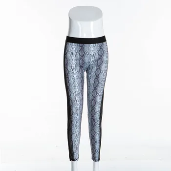 2020 Snake Print Sexy Leggings High Waist Fitness Legging Women Mesh See Through Summer Workout Leggins Home Wear Gothic Black 5