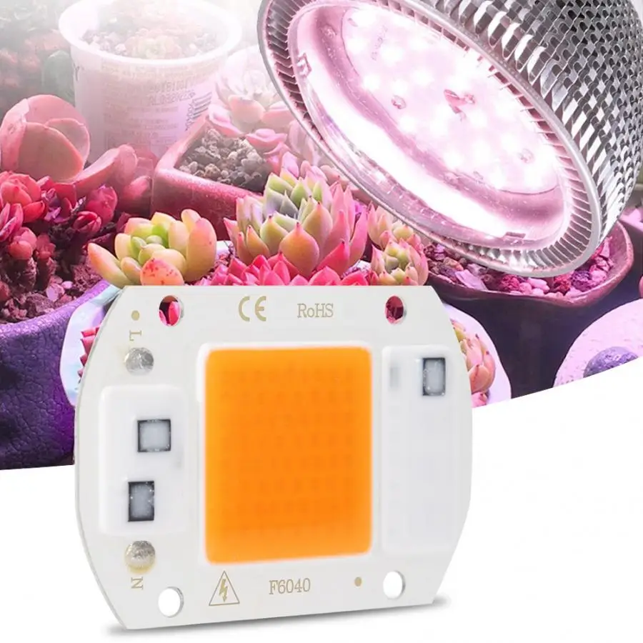 

100W High Power LED Chip SMD COB Integrated Light Source For Full Spectrum Grow Lights COB LED Chip Lamp