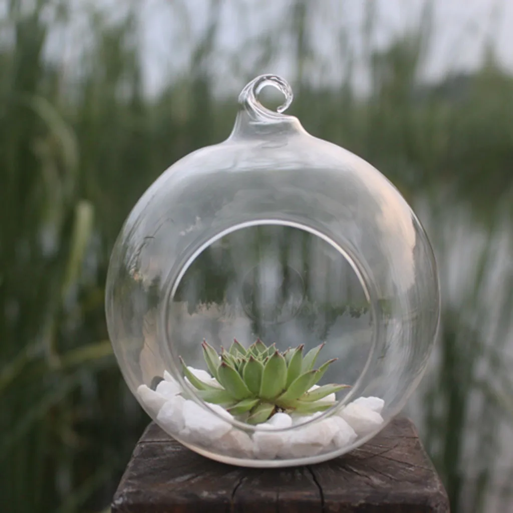 Hanging Ball Glass Flower Planter Vase Terrarium Container Landscape Bottle 