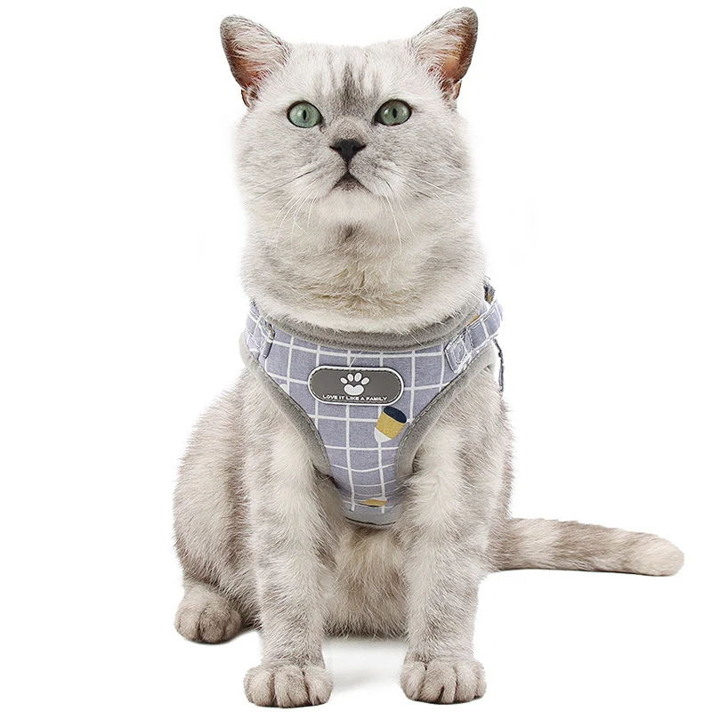 ݻ  Harnesses ⼺  ׼    ֿ     Ϳ Ϸ ޽     Ʈ