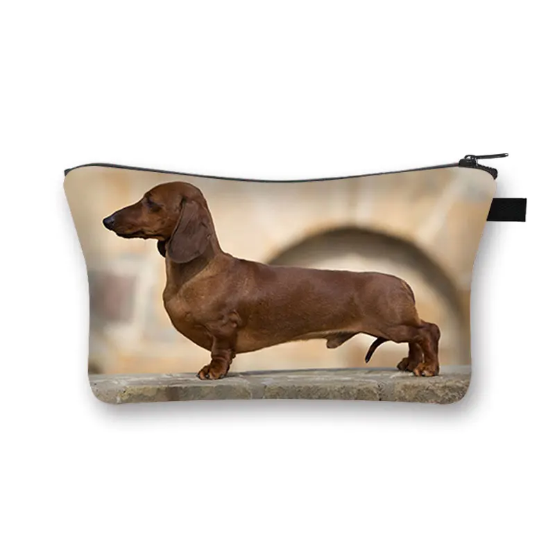 Cute  Dog Cosmetic Bag Dachshund Woman Casual Travel Storage Bag Cute Rhodesian Ridgeback Dog Girl Cosmetic Case Gift