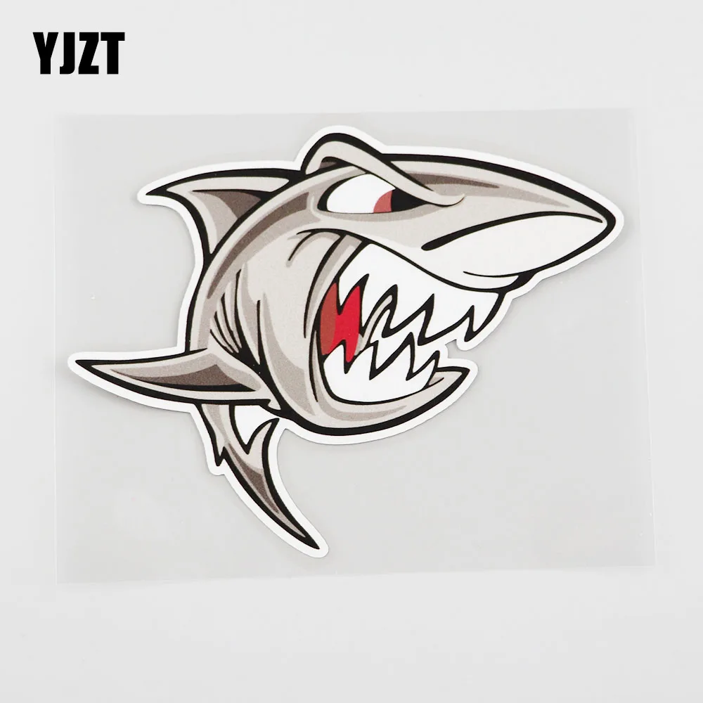 bike shark sticker