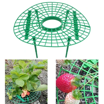 

5pcs/set Fruit Support Plant Flower Climbing Vine Pillar Plant Tray Rack Plastic Strawberry Growing Support Stand