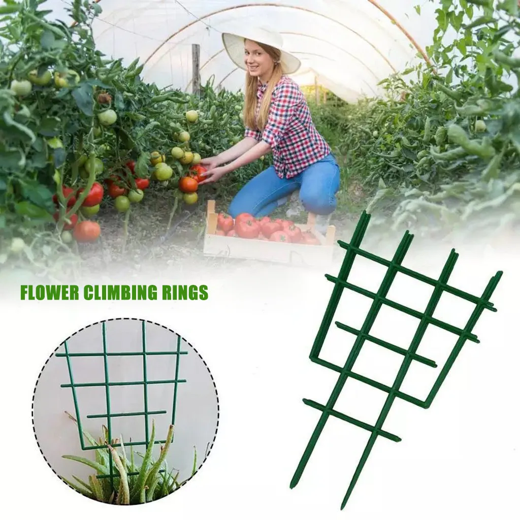 

DIY Plastic Plant Support for Garden Vines Fastener Frame Pot Bracket Shelf Climbing Flower Fixed Plant Growth Direction