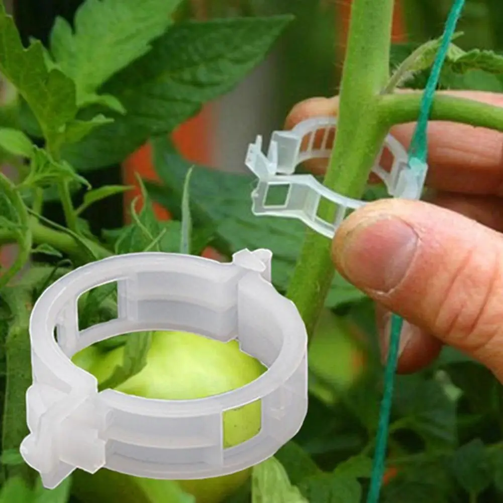

50/100Pcs Clear Hanging Plastic Vegetables Plant Vine Clips Clamp Plant Vegetable Fastener Tied Buckle Hook Gardening Supplies