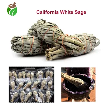 

5 Packs California White Sage Ignite mental acuity cleansing purifying protective plant Smudging Bundles Air Purification Stick