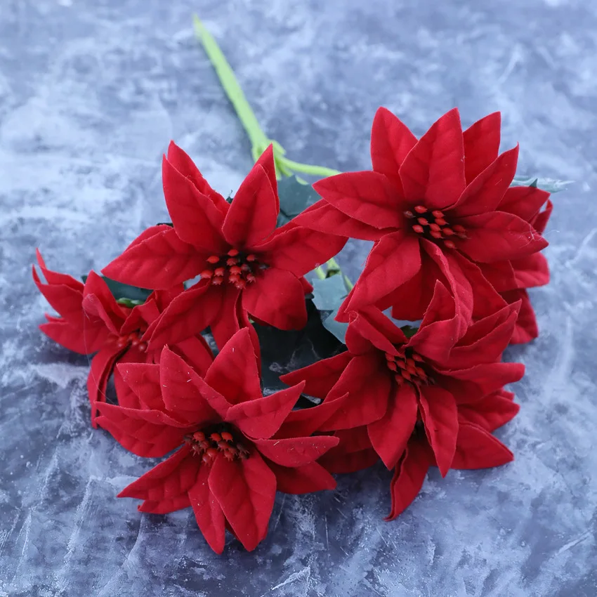 17595653654_773204859